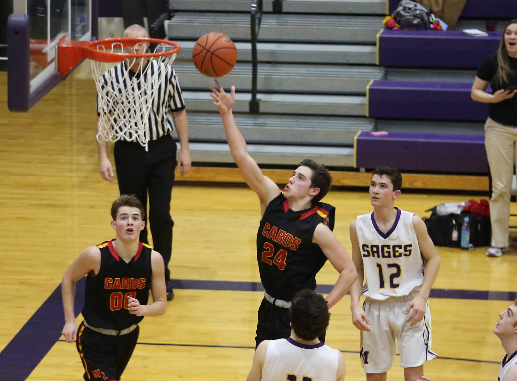 Warrensburg Latham Monticello 7 2.20.19.JPG